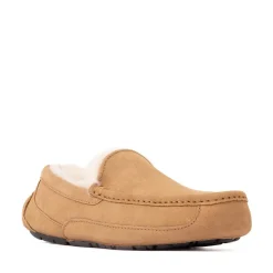Mens UGG® Ascot Slipper - Chestnut