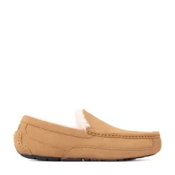 Mens UGG® Ascot Slipper - Chestnut