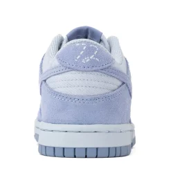 Nike Dunk Low SE Athletic Shoe - Big Kid - Light Armory Blue / Work Blue